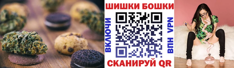 Canna-Cookies марихуана  Купить закладки  Александровск 