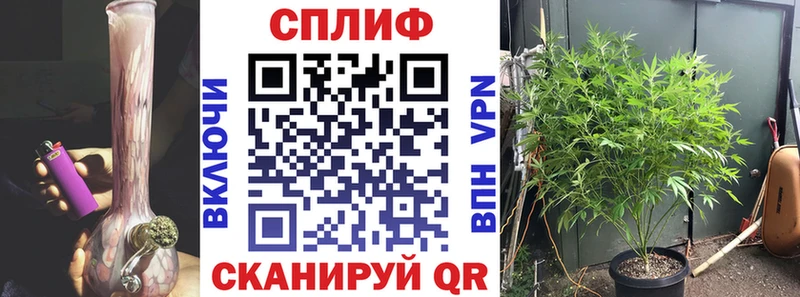 Марихуана ГИДРОПОН  Купить закладки  Александровск 